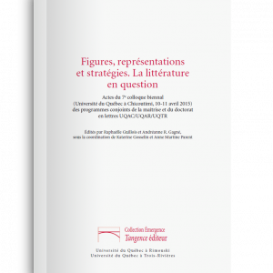 Figures, représentations et stratégies. La littérature en question